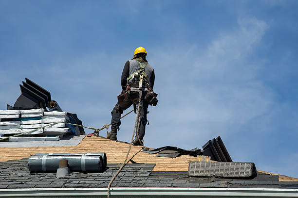 Professional Gutter Installation technician working in Ripley, TN